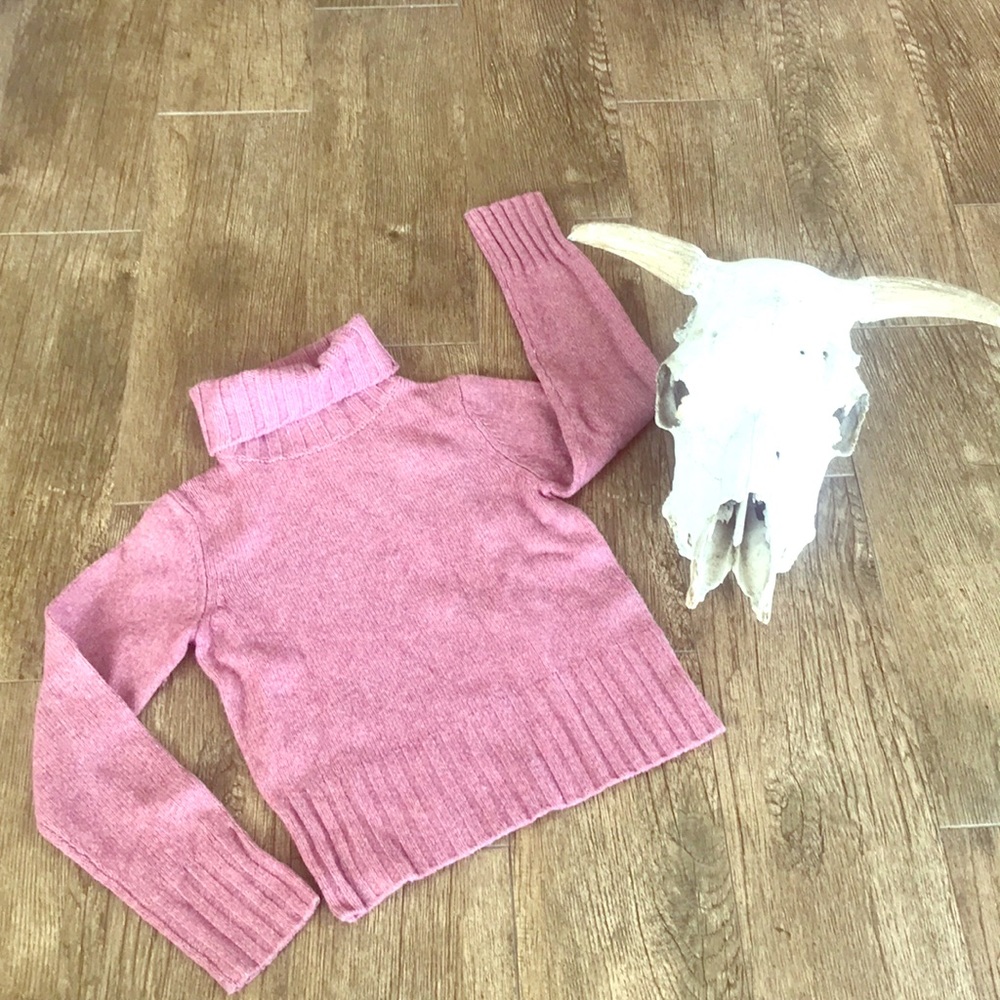 J. Crew 100% Wool Sweater w/turtleneck size S 💞